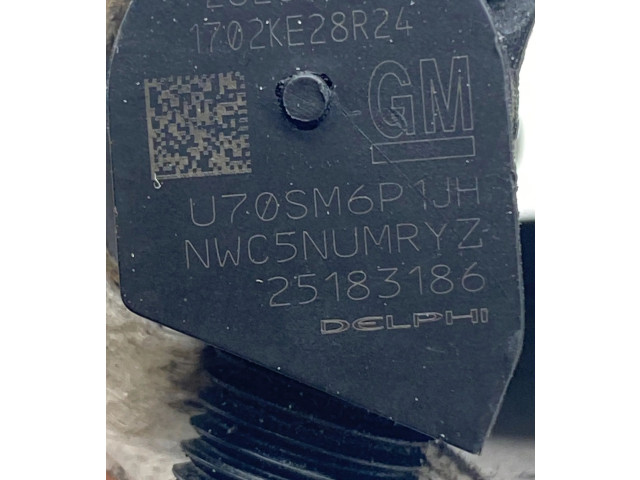 Форсунка 25183186, 28264951    Chevrolet Captiva   