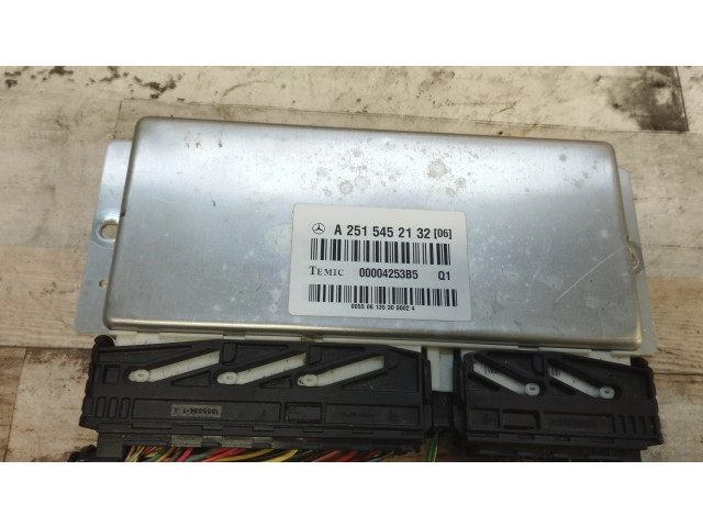 Блок управления A2515452132, 00004253B5 Mercedes-Benz R AMG W251