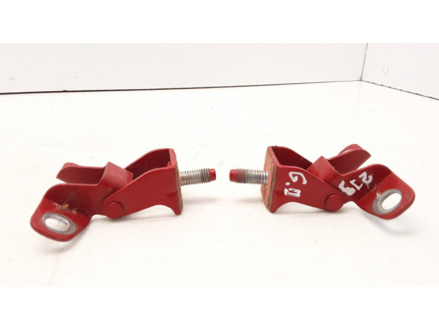 Петля (петли) задней крышки