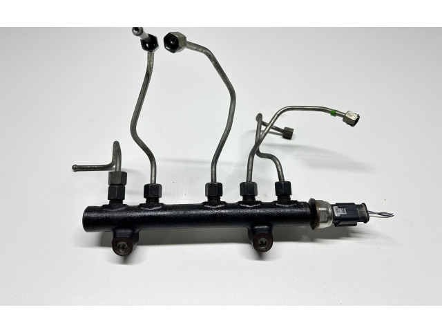 Топливная рампа 9684753080, 103423181 Citroen C4 I Picasso