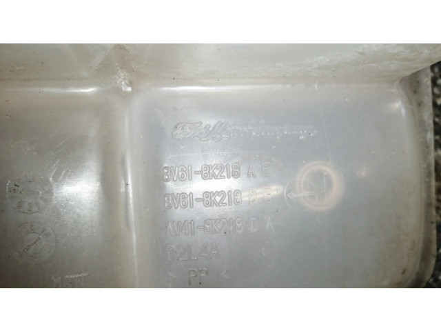 Расширительный бачок охлаждающей жидкости    