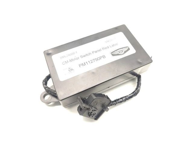 Блок управления PM112790PB, BML24000-1 Bentley Arnage