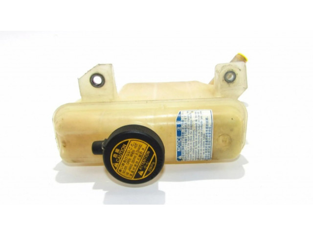 Расширительный бачок охлаждающей жидкости