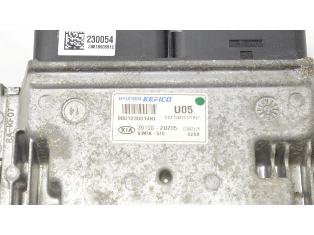 Блок управления двигателя 391002U205 KIA Ceed