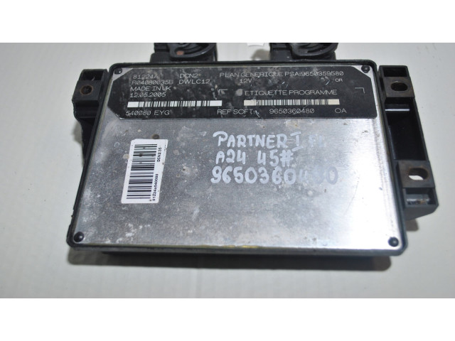 Řídící jednotka 9650360480, 9650360480 Citroen Berlingo 1963