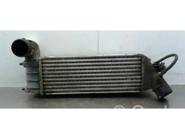 Интеркулер 870229HF, 1489396080 Lancia Phedra 2.2