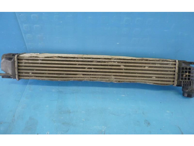 Интеркулер 8200880552 Dacia Duster