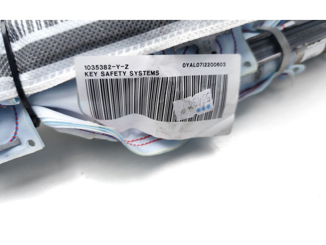 Боковая подушка безопасности 1035382, 0YAL07I2200603 Skoda Fabia Mk3 (NJ)