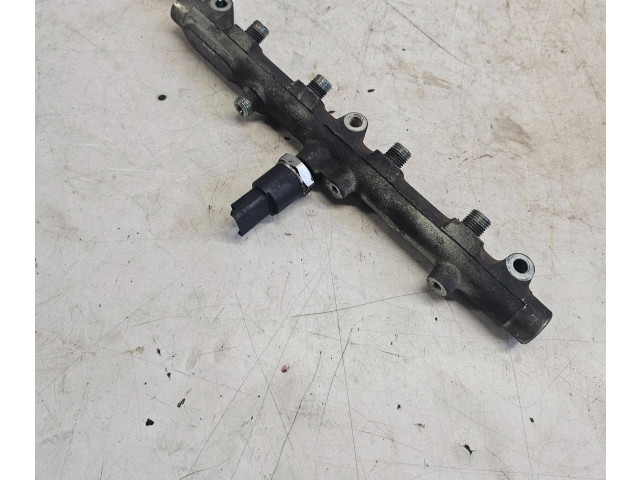 Vstřikovací lišta 0445214017 Peugeot 607