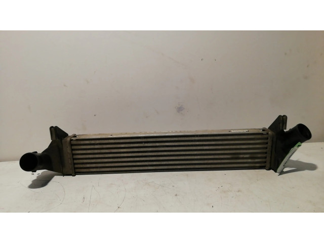 Интеркулер 8200409045 Dacia Dokker