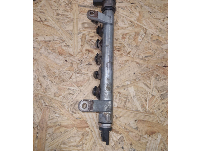 Топливная рампа 9656917280, DW12BTED4 Mitsubishi Outlander для двигателя 4HN