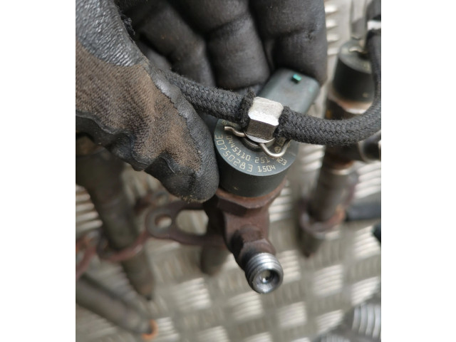 Комплект форсунок 0445110251, 30750283    Volvo S60   