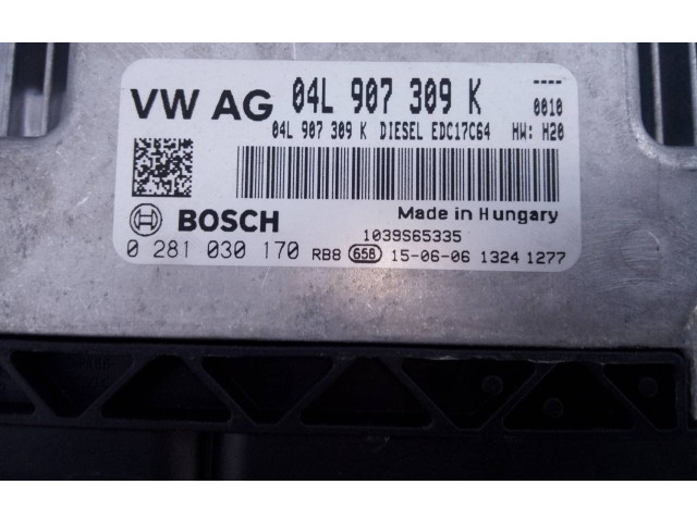 Řídící jednotka 04L907309K, 0281030170 Volkswagen Tiguan 2015