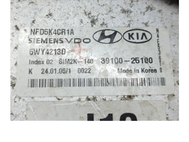 Блок управления двигателя 3910025100, 5WY4213D   Hyundai Sonata
