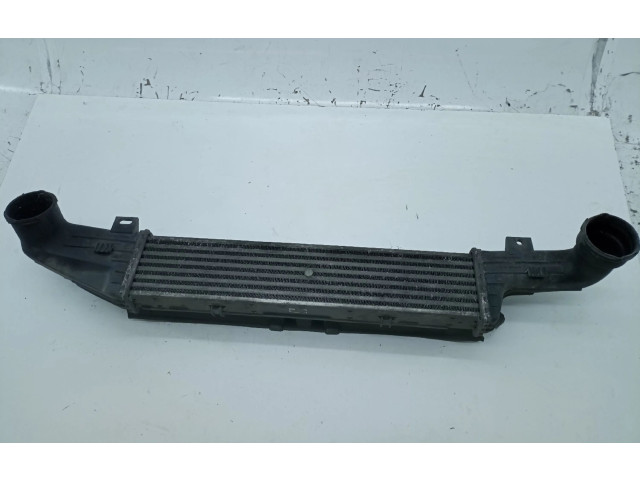 Интеркулер A2105001400, A2105052130 Mercedes-Benz E W210