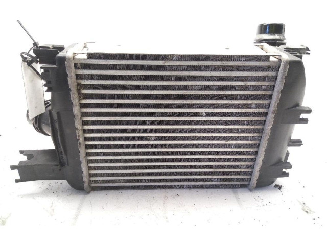 Интеркулер  144965154R   Dacia Duster 