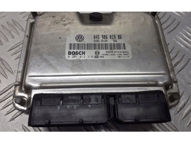 Блок управления двигателя 045906019BR Skoda Fabia Mk1 (6Y)