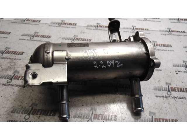 Охладитель EGR