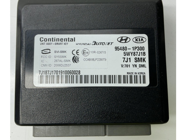 Блок управления 954801P300, 5WY87J1B   KIA Venga