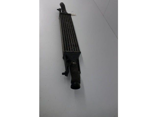 Интеркулер     Fiat Grande Punto 