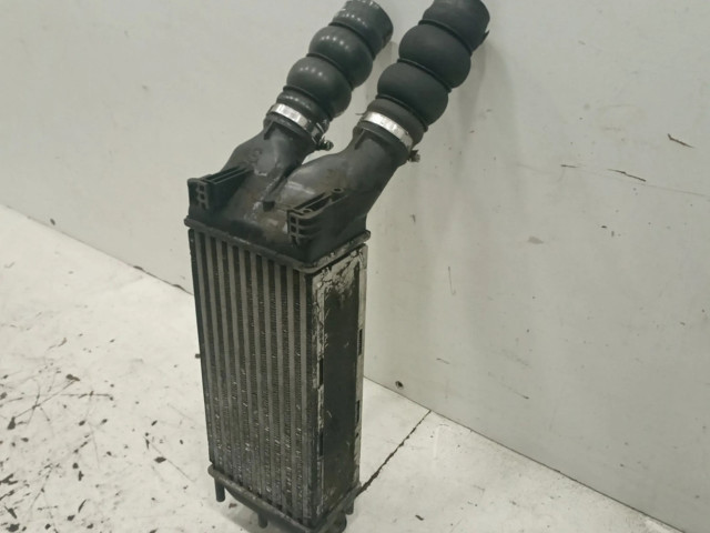 Интеркулер     Citroen Berlingo 