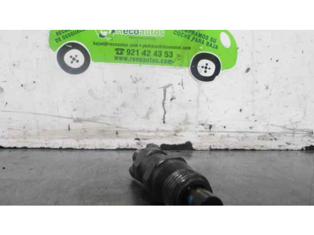 Форсунка 9430030212, BOSCH Tata Safari D/483DLTC55