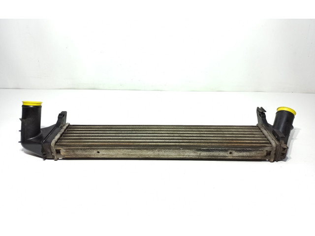 Интеркулер 8200409045 Dacia Sandero