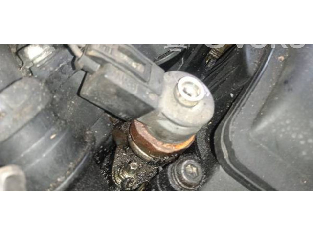 Форсунка 0445110216, 7793836 BMW X3 E83