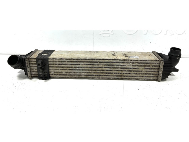 Интеркулер  144960001RG, 144960001R   Renault Laguna III 2.0