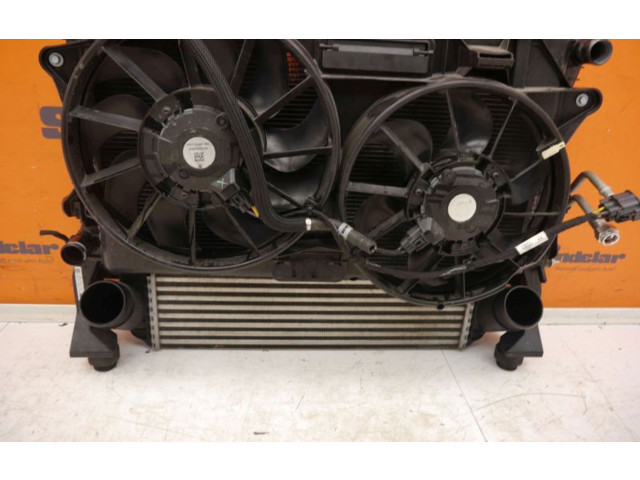 Комплект радиатора    Ford Mustang VI