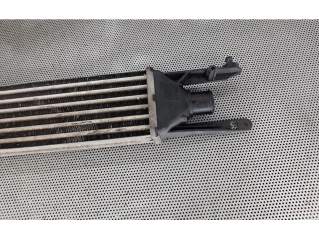 Интеркулер     Fiat Punto Evo 