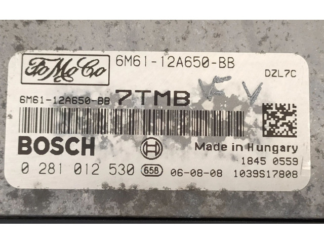 Řídící jednotka 6M6112A650BB, 0281012530 Mazda 3 I 2007