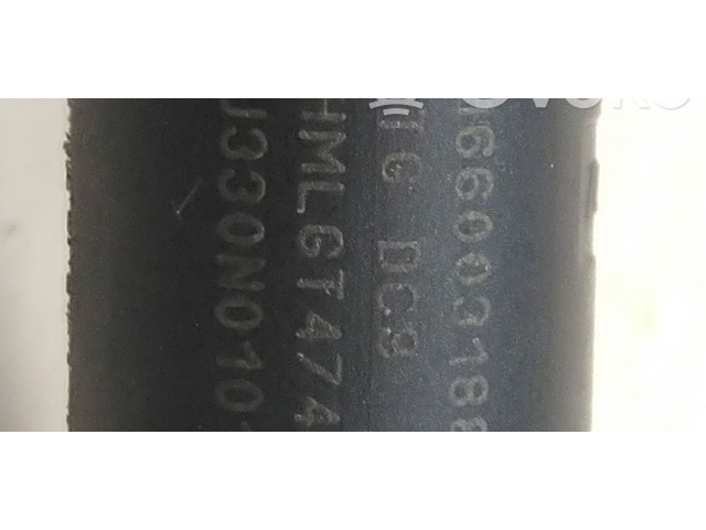 Форсунка 166003188R Dacia Sandero B4D411