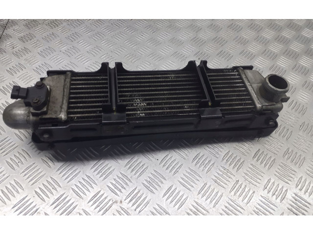 Интеркулер 279714600102 Tata Indica Vista II