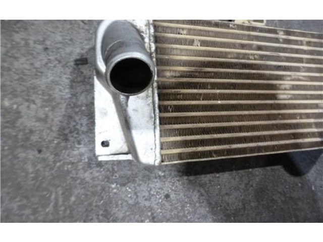 Интеркулер Tata Telcoline