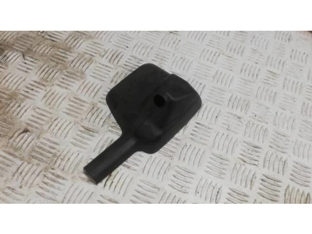 Потолок крышка