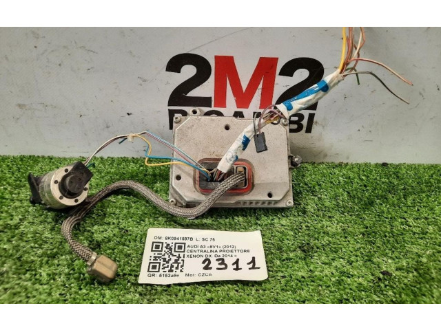 Блок управления Xenon