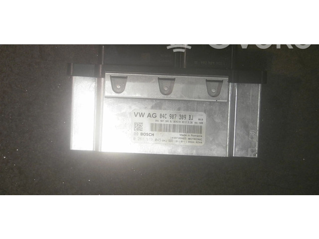 Блок управления двигателя 04C906025P   Skoda Fabia Mk3 (NJ)