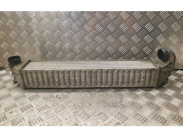 Интеркулер 7M3145805 Seat Alhambra (Mk1)