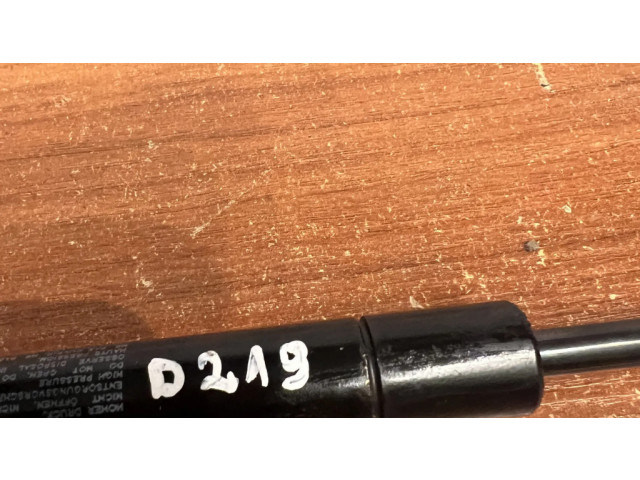 Пружина (пружины) задней крышки