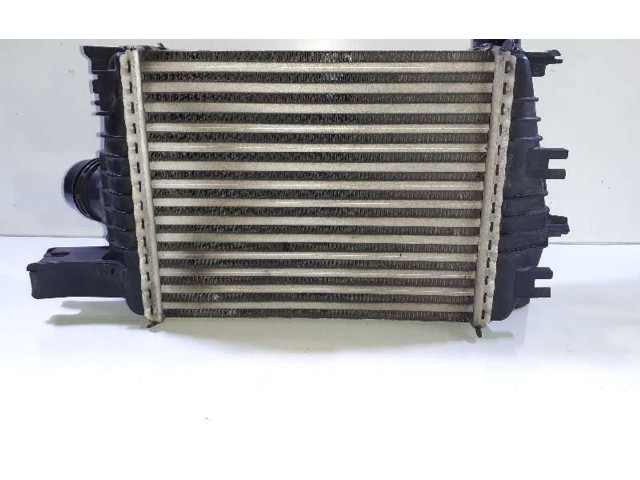 Интеркулер  144961381R   Dacia Duster 