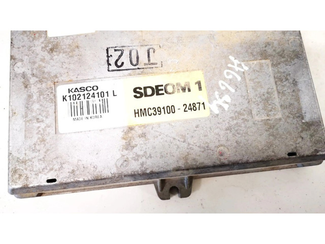 Řídící jednotka hmc3910024871 Hyundai Lantra I 1994