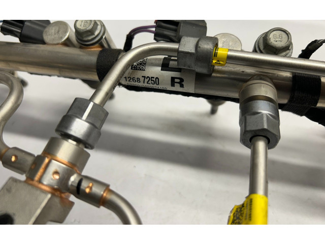 Комплект системы впрыска топлива 12687250, 12687249    Chevrolet Camaro  LT1 (6.2L) 