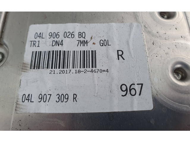 Блок управления двигателя 04L907309R, 0281031066   Audi A3 S3 8V