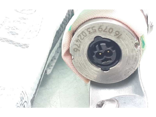 Надувная подушка для передней двери       Skoda Octavia Mk3 (5E)  2013 - 2019 года   