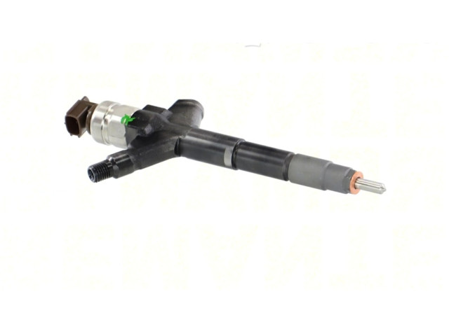 Vstřikovač 295050030, 295050030 Nissan Murano Z51