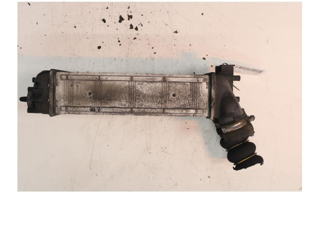 Интеркулер     Citroen Berlingo 1.6