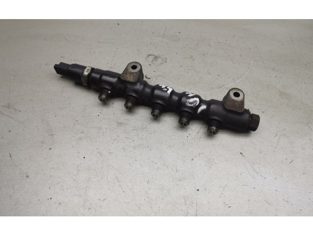 Топливная рампа 9642095280, 51HP0202   Citroen C3  