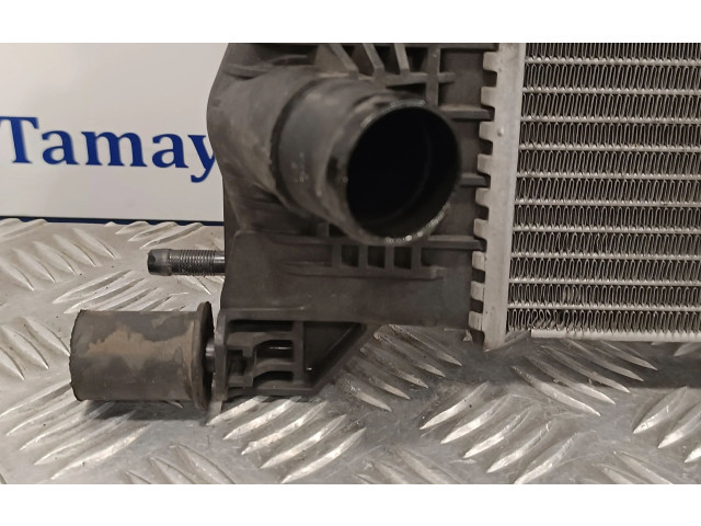 Панель приборов 214100002R, RA1562   Renault Megane III       