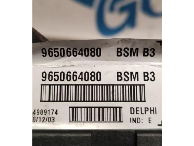 Блок предохранителей 9650664080, 9650664080   Peugeot 406    